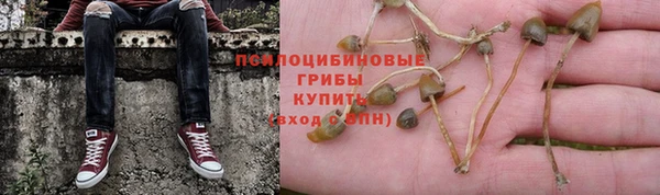 стаф Няндома