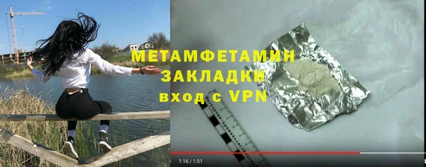 прущие грибы Болохово