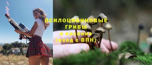 мет Нягань