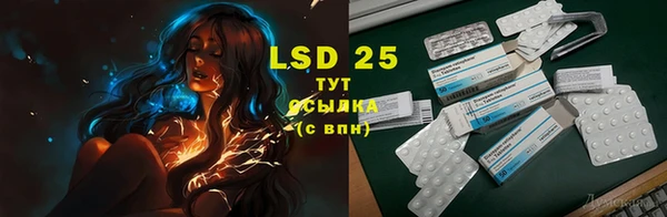 стаф Няндома