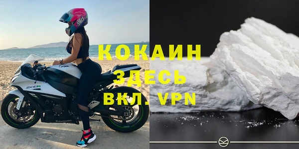 стаф Няндома