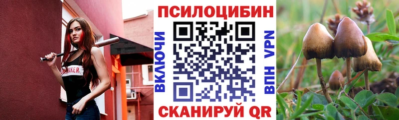 Псилоцибиновые грибы Magic Shrooms  как найти наркотики  Абаза 
